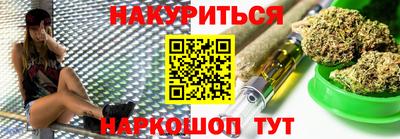 Альфа ПВП Гатчина