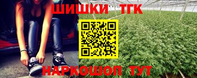 Альфа ПВП Гатчина