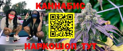 Альфа ПВП Гатчина