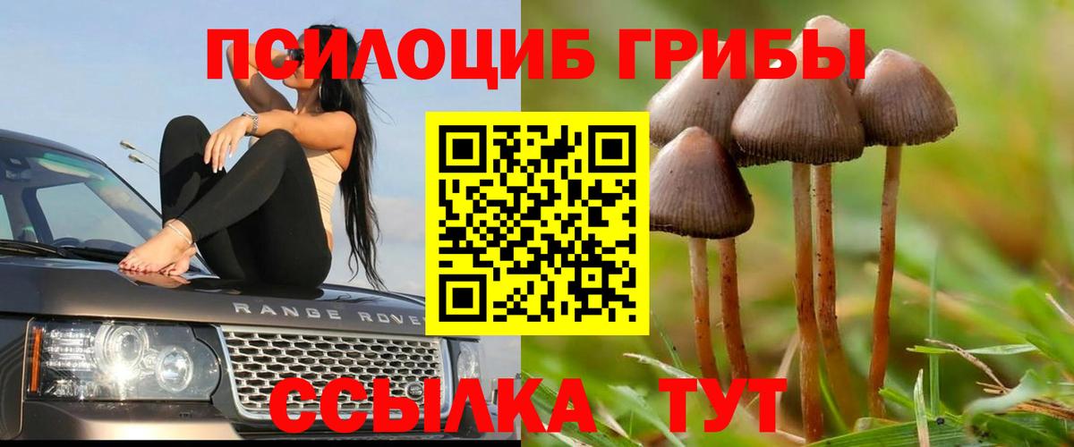 Псилоцибиновые грибы GOLDEN TEACHER  Вход с VPN  Грязи 